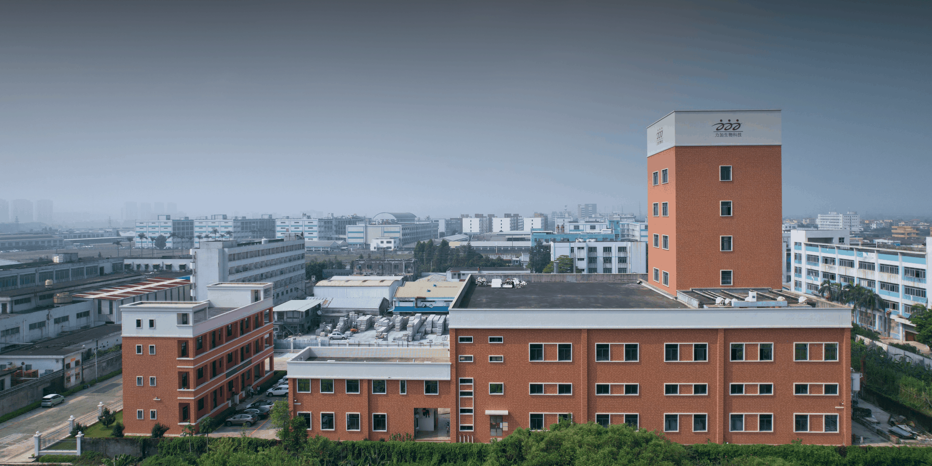 饲料预混料 专业生产厂家