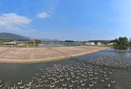 广州市力加生物科技有限公司