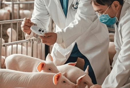 广州市力加生物科技有限公司