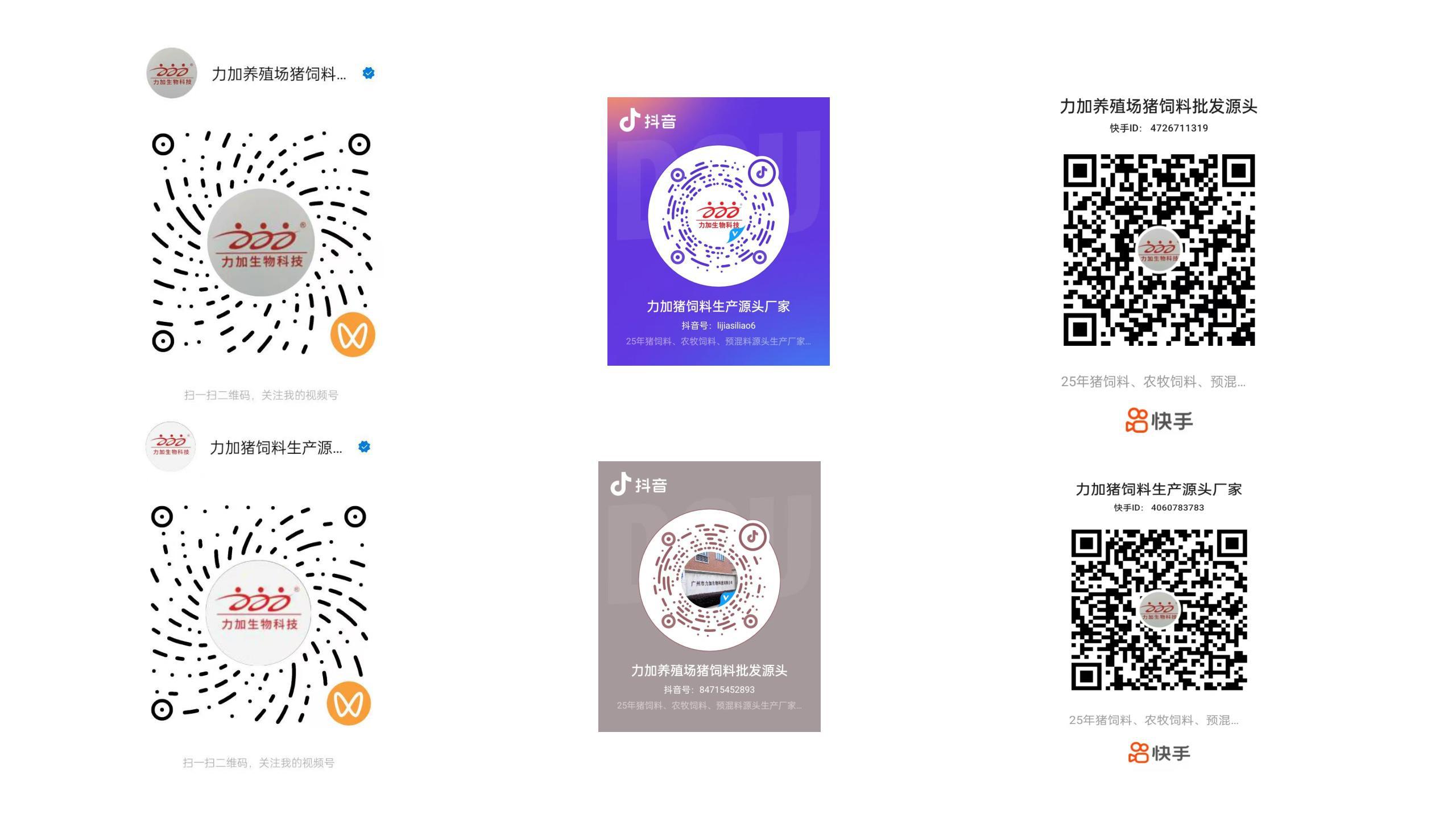 力加网销平台正式上线